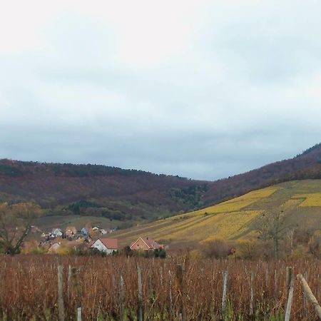 Apartment Route Du Vin Centre Alsace Orschwiller Pokoj fotografie