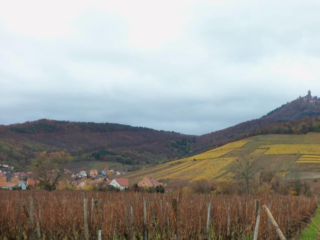 Apartment Route Du Vin Centre Alsace Orschwiller Pokoj fotografie