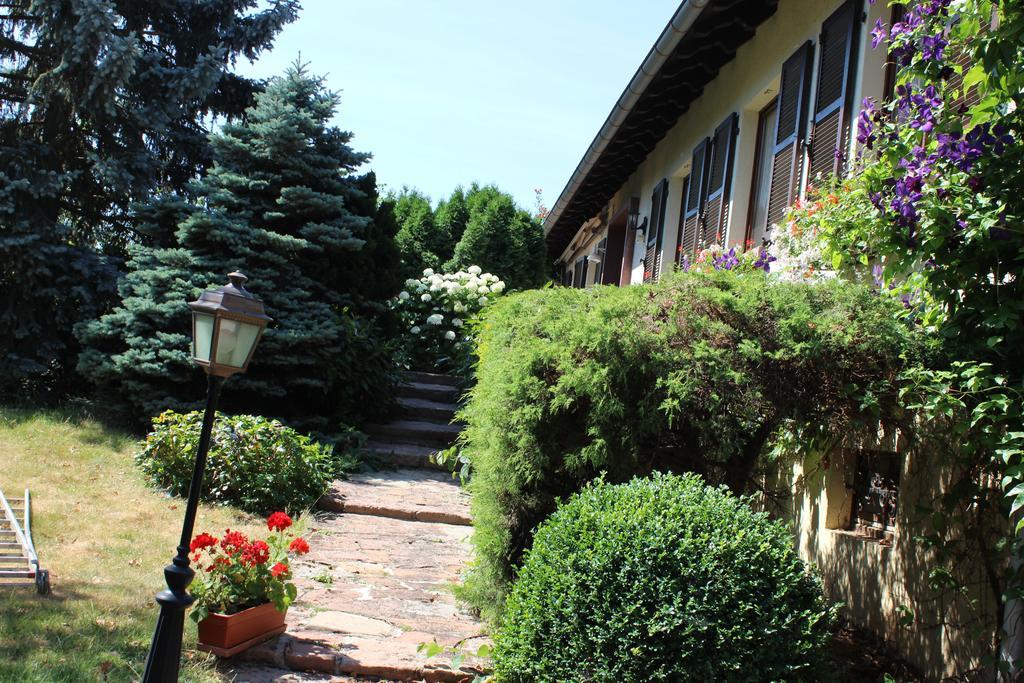 Apartment Route Du Vin Centre Alsace Orschwiller Pokoj fotografie