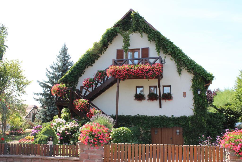 Apartment Route Du Vin Centre Alsace Orschwiller Pokoj fotografie